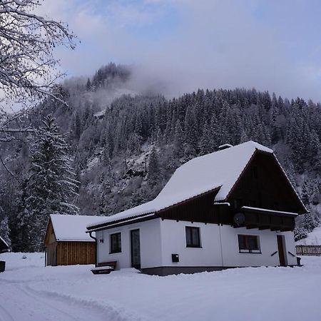 Haus Cilli Villa Donnersbachwald Dış mekan fotoğraf